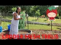 How to use Ladder mesh as a Trelis multiple ways in your