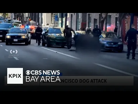 San Francisco Woman Fighting for her Life After Vicious Dog Attack in the Tenderloin
