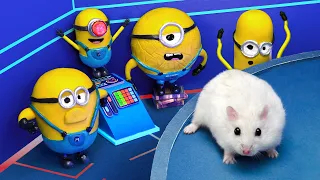What Happens When Hamster Enters the Minions World? | Hamsterious