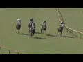 Louisiana Downs RACE 1 -11 AUG 2026