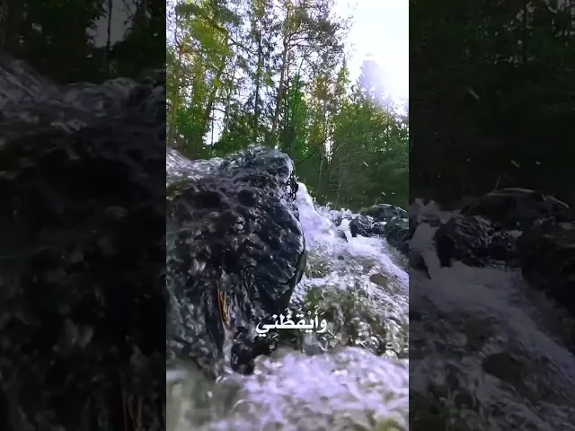 ⁣#دعاء_الصباح ‏يَا مَنْ أَرْقَدَنِي فِي مِهَادِ أَمْنِهِ وَأَمَانِهِ