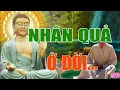 Download Lagu Phật Dạy Luật Nhân Quả Báo Ứng Không Nên Xem Nhẹ Luôn Hiện Hữu Chỉ Là Đến Sớm Hay Muộn Mà Thôi.#MỚI