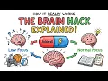Adderall Stimulants How They REALLY Work And Why Everyone Wants Them