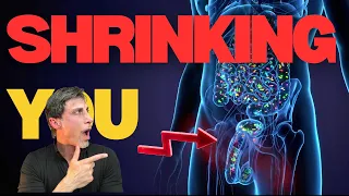 Microplastics Shrink Your Penis & Kill Testosterone (New Research)