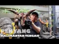 Download Lagu PENYANG SANGKALEMU..!!! Pusaka Tolak Bala Suku Dayak Ngaju Kalimantan Tengah