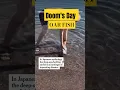 Download Lagu Dooms Day- Oar Fish Spotted #oarfish #doomsday #viralvideo #shorts