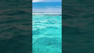 ترنيمة امسك يارب يدي 