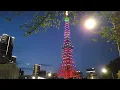 Pink Blue Japan