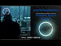 Steghide Hide secret information inside a photo Kali Linux