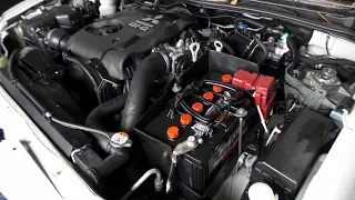P2013 triton