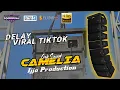 Download Lagu CEK SOUND DELAY // CAMELIA // DELAY VERSION