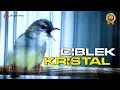 Download Lagu MASTERAN CIBLEK KRISTAL GACOR SUPER NEMBAK
