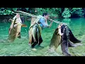 Download Lagu Traditional Fishing Skills - Single Mother Catches Giant Fish Using Bamboo Tube
