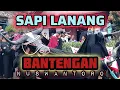 Lagu SAPI LANANG BANTENGAN SRUDUk. live perform prabon 1 kaumrejo ngantang