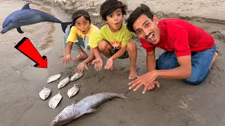 We Caught Real Dolphin Fish Inside The River 😱