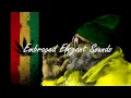 Ziggy Marley - One Good Spliff (Acidation Remix)