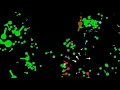 Leviathan evolution simulation in Java