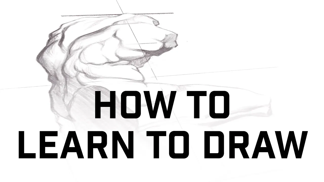 THIS is how you learn to draw