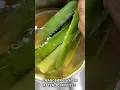 Download Lagu how to remove the poison from Aloe vera properly
