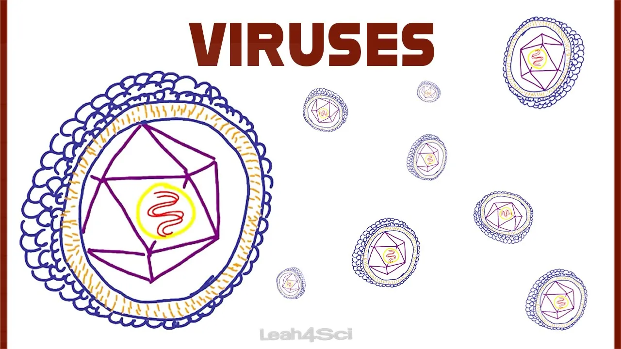 Viruses an Introduction