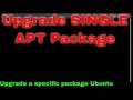 Upgrade Single Package using Apt Ubuntu Debian-Based Linux Distros