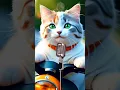 Download Lagu Sholawat Jibril Shallallahu Ala Muhammad, Kucing Sholawatan #kucinglucu #kucingshalawat