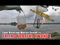 Lagu BEGINI CARA SAYA SELAMAT DARI SPOT MANCING YANG BANYAK ULARNYA! Fishing Story Eps 127