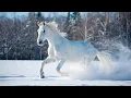 Download Lagu Музыка полезна для нервной и сердечно-сосудистой систем. (Sergey Grischuk Music)
