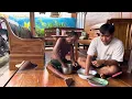Download Lagu BIKIN CINCAU DEPAN RUMAH MALAH KEDATANGAN TAMU CHEF HANDAL DARI TLOGOTUWUNG