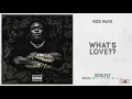 Rod Wave - "What's Love??" (SoulFly)