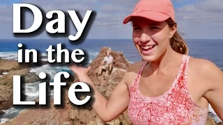 CRUISING MEXICO’S BAJA COAST [Adventure #39]