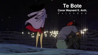 Download Te Bote - Conor Maynard ft. Anth (Extended) MP3