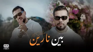                          بين نارين                        دندنها