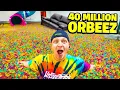 Download Lagu FILLING MY ENTIRE HOUSE WITH ORBEEZ!