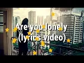 Steve Aoki & Alan walker - Are You Lonely feat. ISAK (Lyric Video)