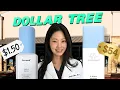 Dermatologist Compares Dollar Tree vs High-End Skincare