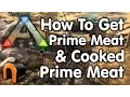 Ark The BEST WAYS To Get PRIME MEAT Cooked Prime Meat