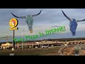 Buc-ee s In Springfield Missouri Is A CRAZY Place