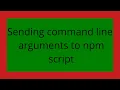 Sending command line arguments to npm script