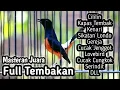 Download Lagu MASTERAN MURAI BATU FULL ISIAN TEMBAKAN CILILIN KENARI SIKATAN LONDO KAPAS TEMBAK CUNGKOK LOVEBIRD