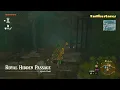 Royal Hidden Passage BubbulFrog Location Zelda Tears of The Kingdom