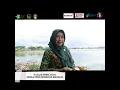 Download Lagu Inovasi Nakesdan Bidan Provinsi Sulawesi Selatan 2023 \