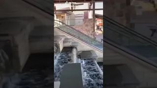 اغنية ناري ناري 