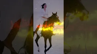 إسطبلات وحصنة كتير ع الناصيات مرشدين يابا للظباط محروقين مني سعيد فتلة Share اكسبلور Music 