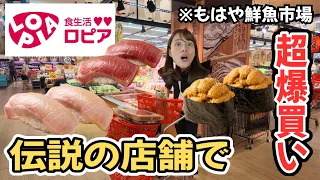 港ゼロ距離のロピアで海鮮爆買い！お店の後ろが海でほぼ市場だった...
