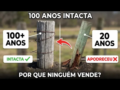 Video de YouTube