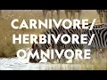 Definitions in the Field Omnivore