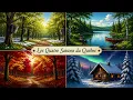 🍁(Les Quatre Saisons Du Québec)🇨🇦