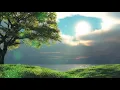 Beautiful nature landscape Tree lake clouds Sunshine - Animated background wallpapers loops s