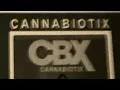 CBX - orange crush applesauce